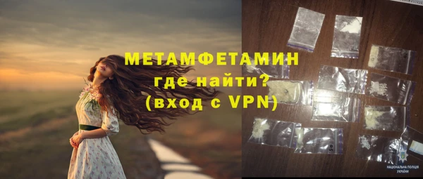 PSILOCYBIN Горняк