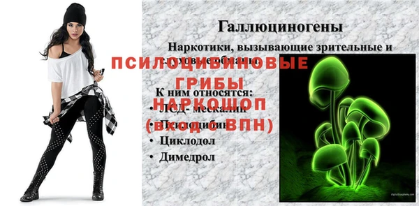 ПСИЛОЦИБИНОВЫЕ ГРИБЫ Дмитровск